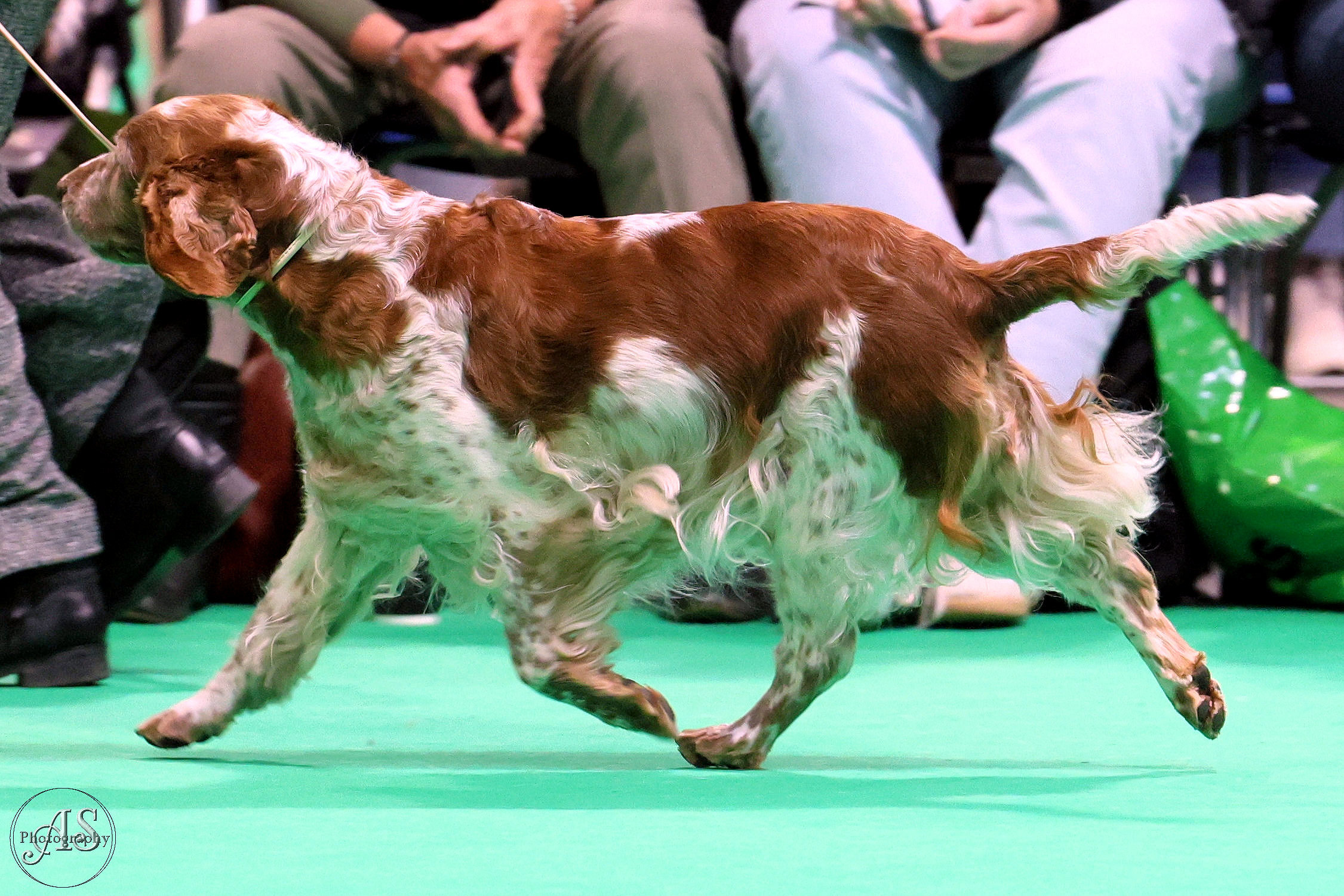 Gina Crufts 2026